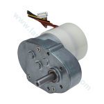 موتور دی سی انکودر دار YGY6138-R528C (12V 65RPM)