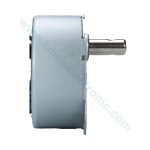 موتور ای سی گیربکس دار (220V 20-24RPM) (CW)